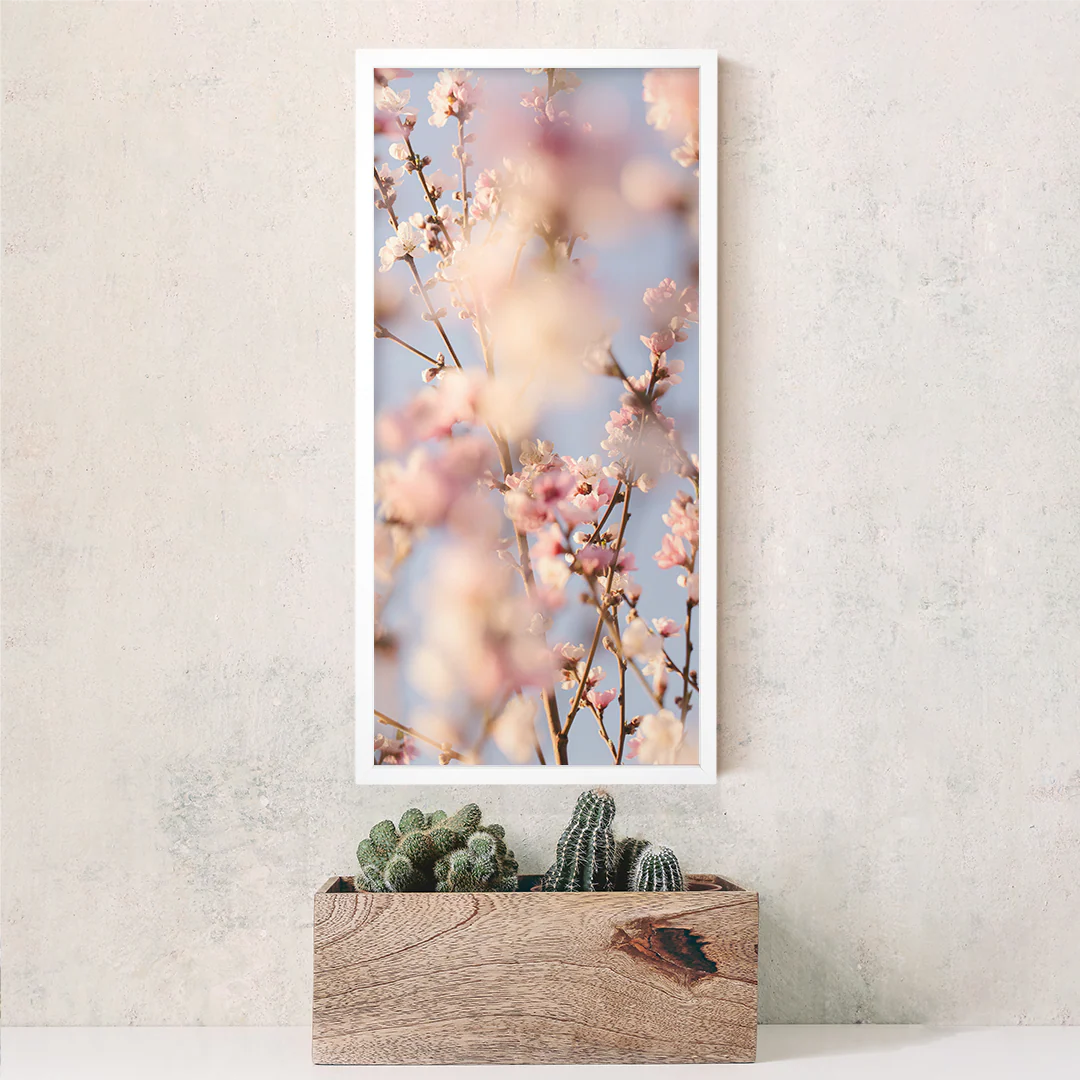 Blooms - Image 12