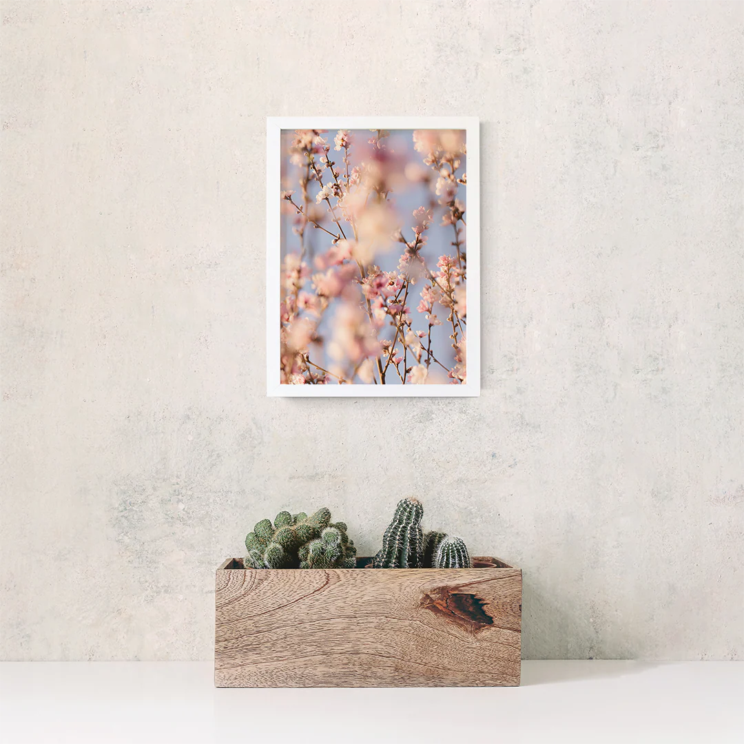Blooms - Image 4