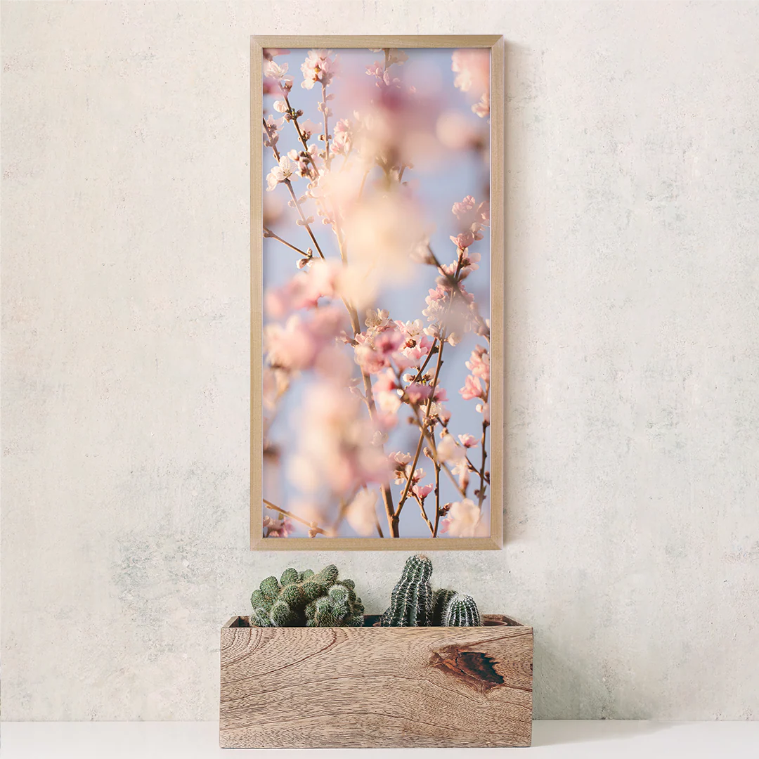 Blooms - Image 9