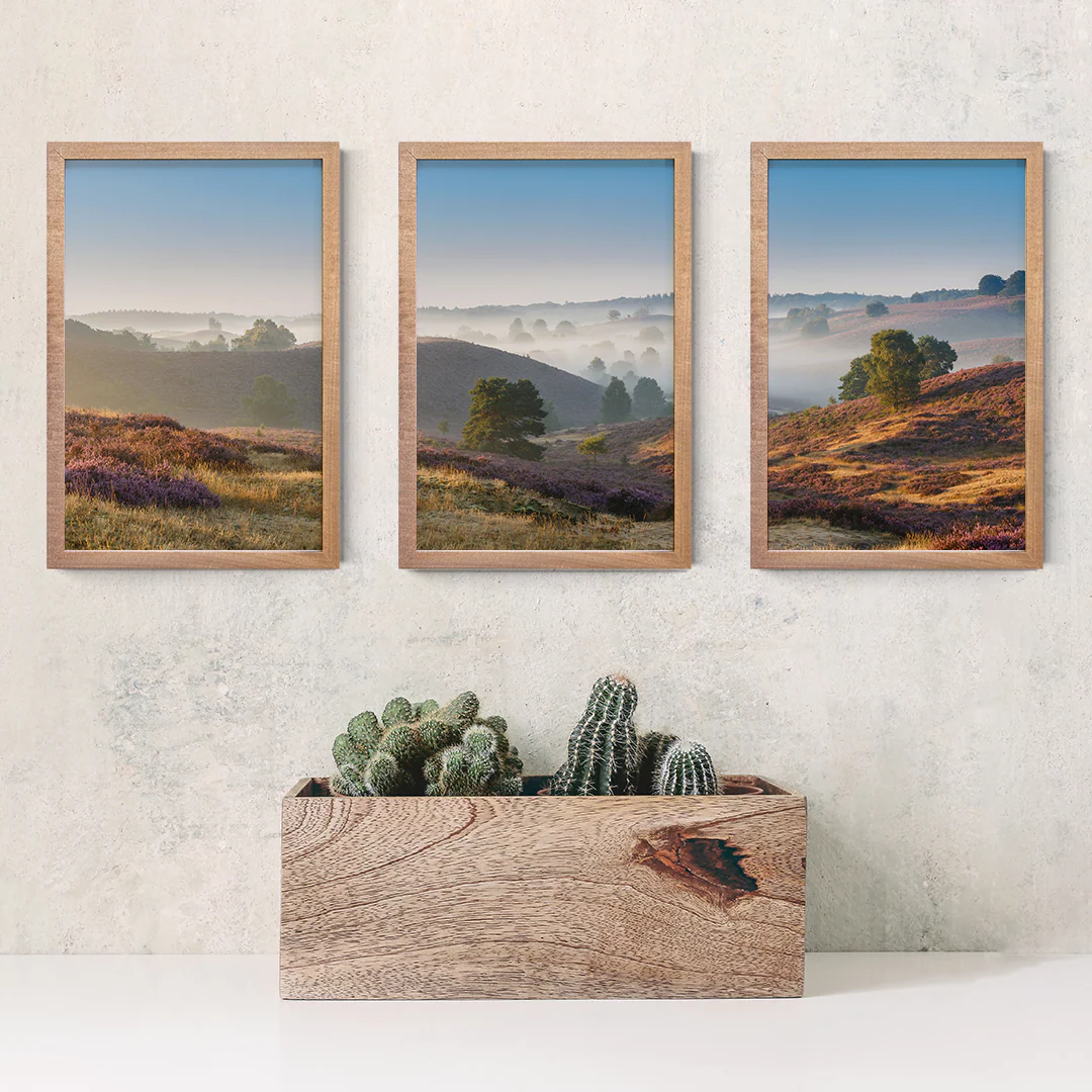Open Spaces Triptych - Image 2