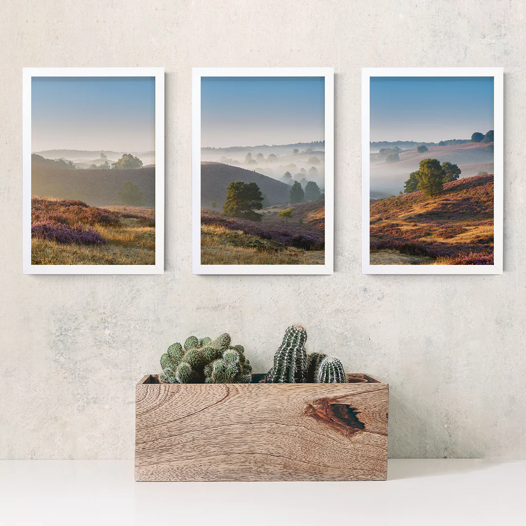 Open Spaces Triptych - Image 4