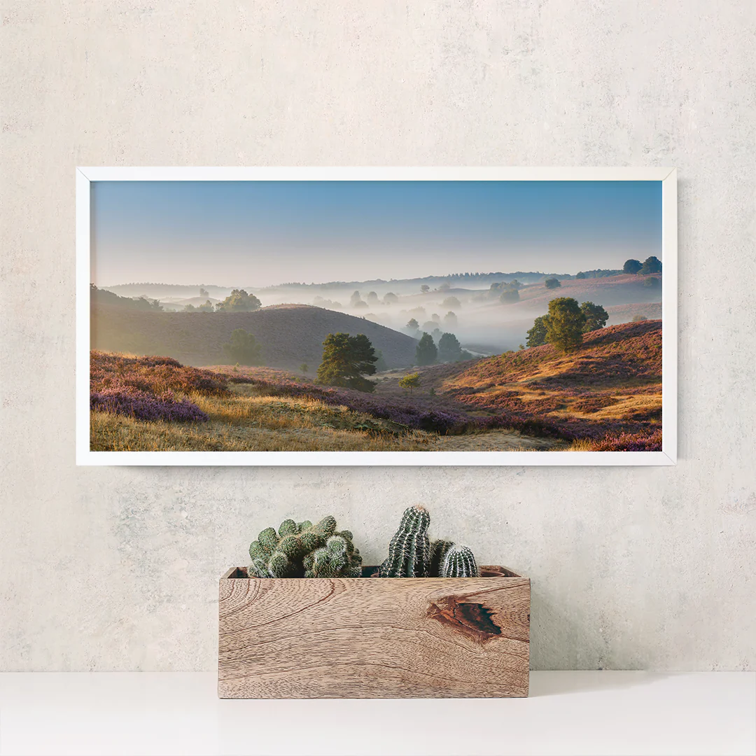 Open Spaces - Image 4