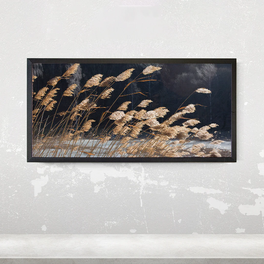 Windy Field - Image 10