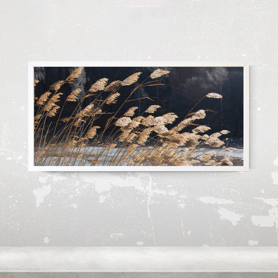 Windy Field - Image 11